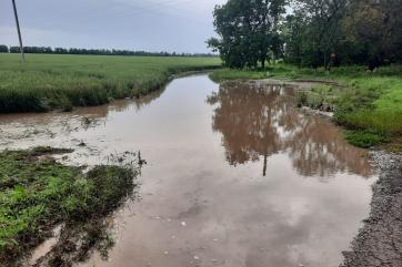 Поля на юге России частично утопают в воде